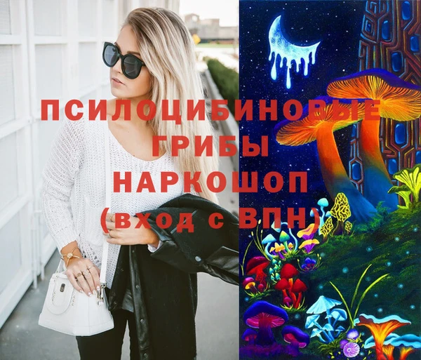 винт Надым
