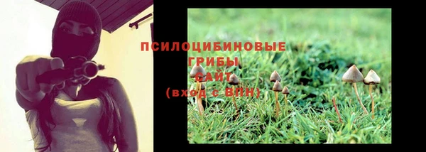 прущие крисы Наволоки