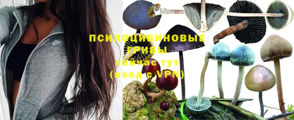 прущие крисы Наволоки